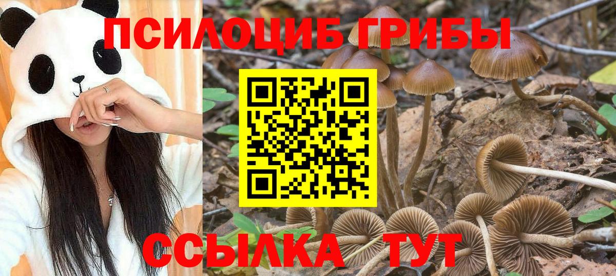Псилоцибиновые грибы ЛСД Владивосток